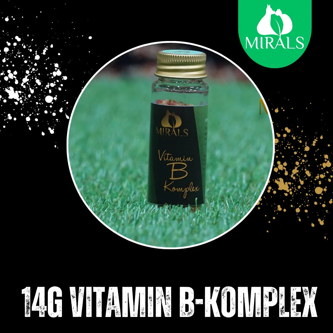 MIRALS Complexe de Vitamine B