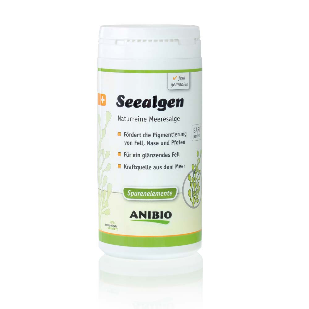 Anibio Algues marines (Seealge)