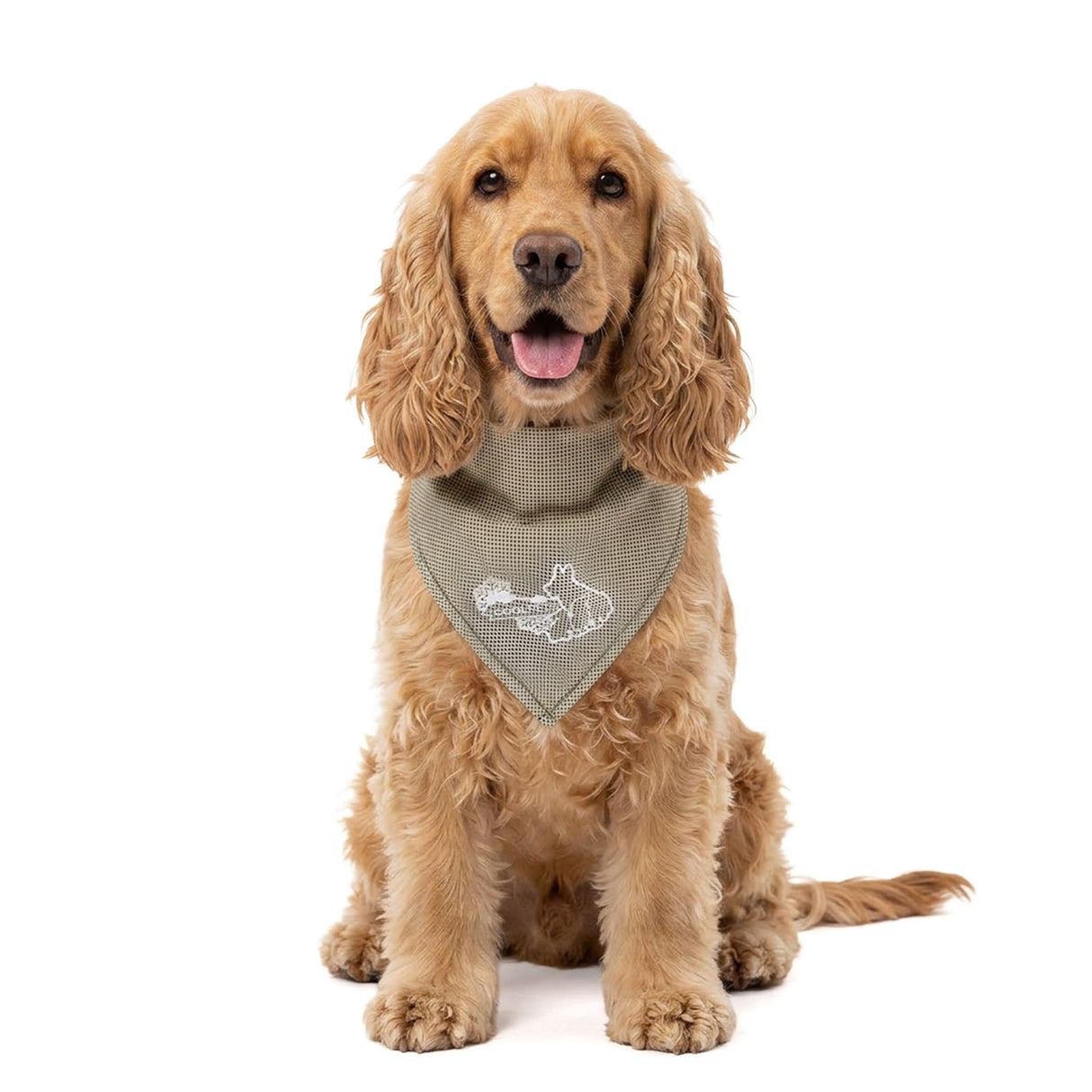 Coolpets Cooling Bandana