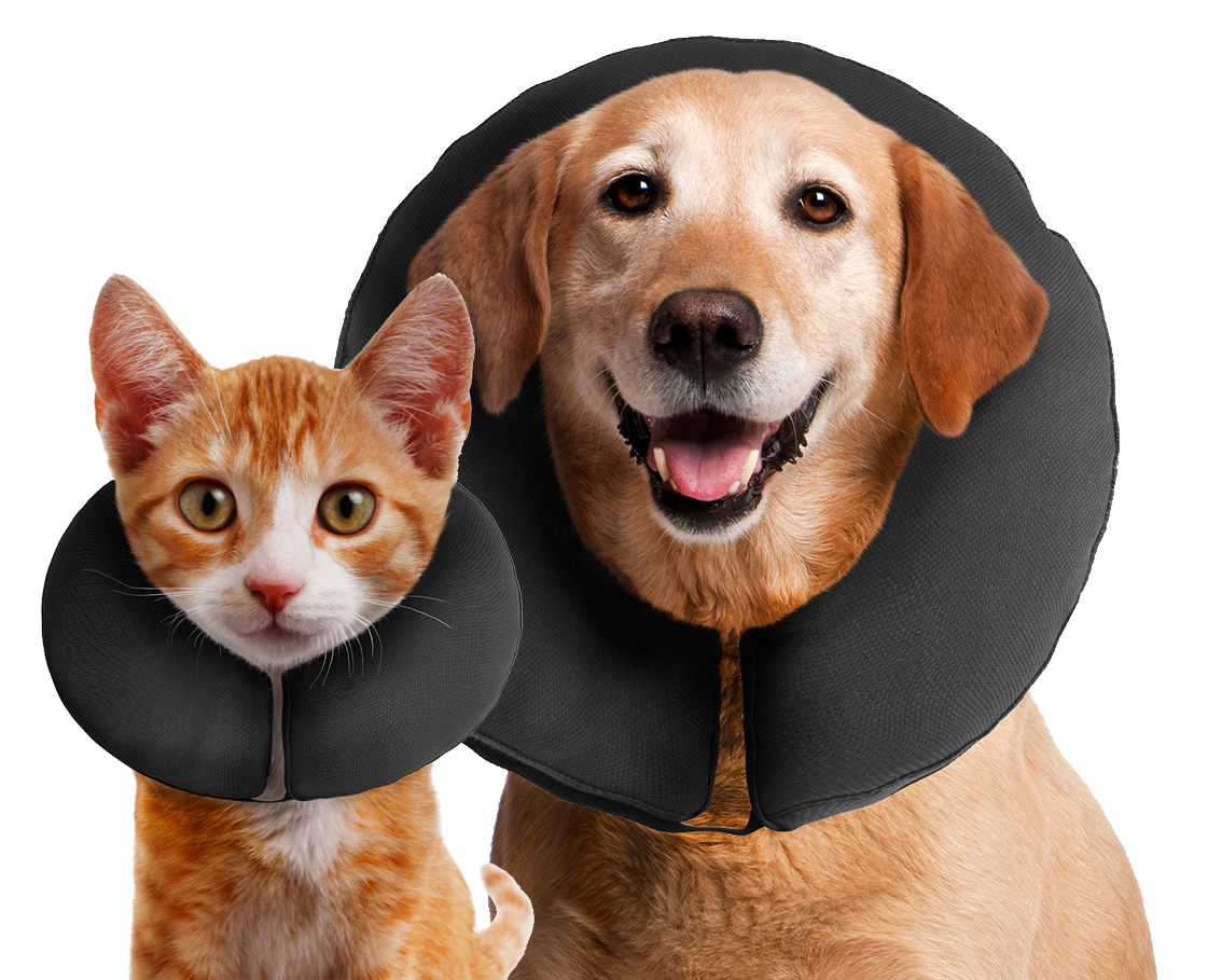 Zenpet ProCollar