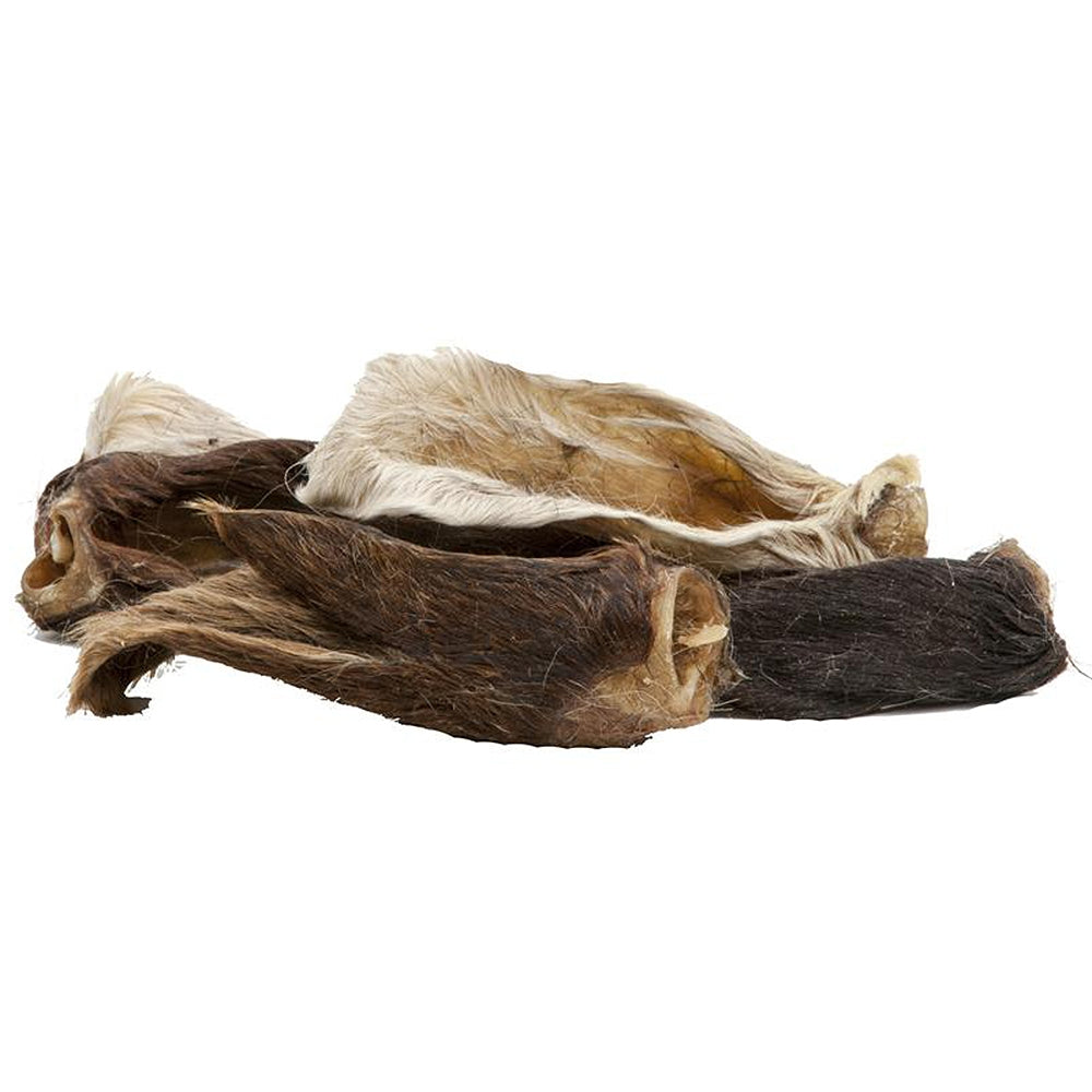 Ecostar Oreilles d'agneau avec poils