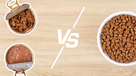 The Great Bowl Dilemma: Kibble or Wet Food?