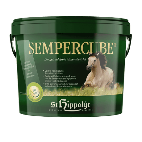 St. Hippolyt Mineralien SemperCube