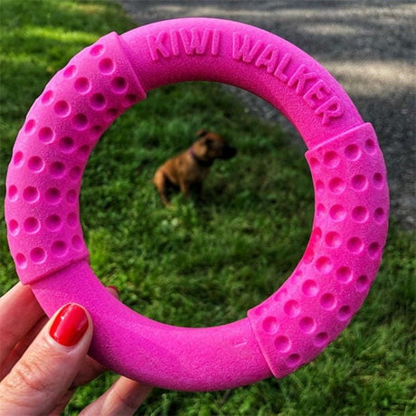 Kiwi Walker Let's Play ! Mini Ring