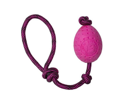 Kiwi Walker Egg