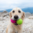 Kiwi Walker Let's Play Ball