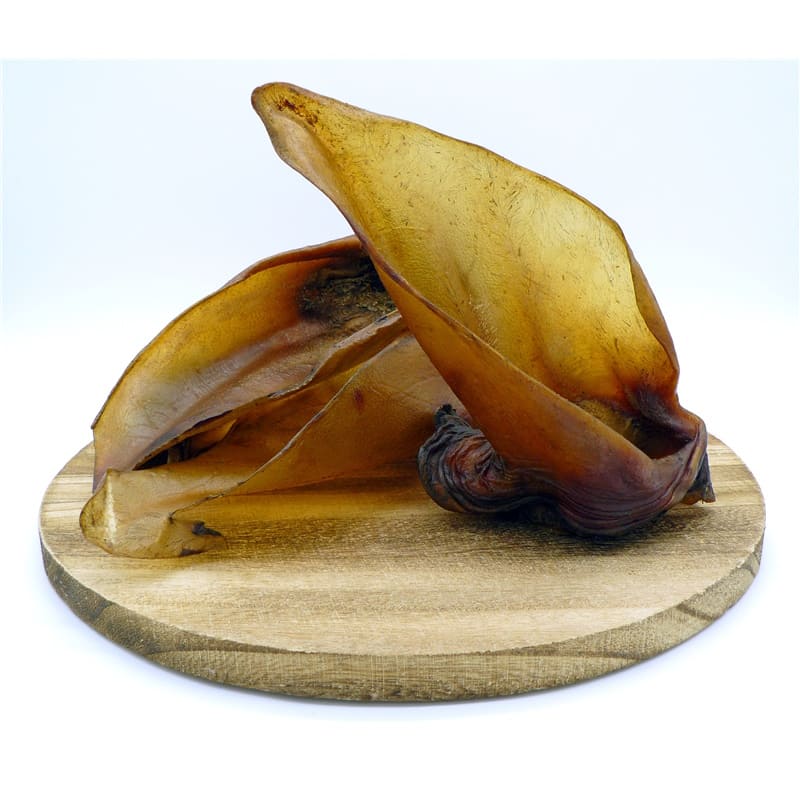 Ecostar Oreilles de bœuf avec base