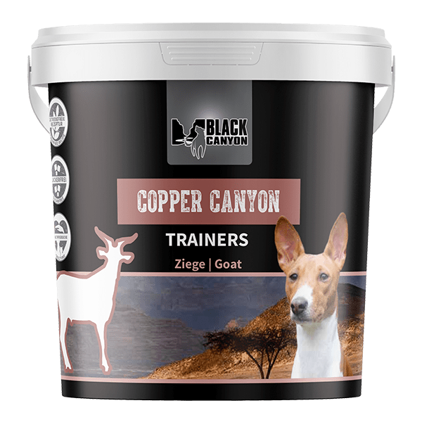 Black Canyon Trainers Copper Canyon Chèvre