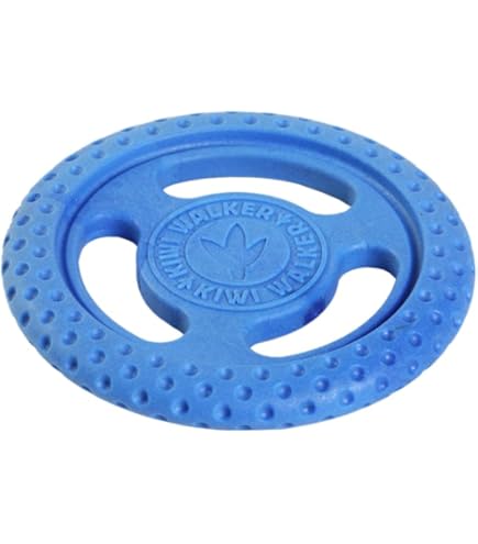 Kiwi Walker Let's Play Frisbee Mini