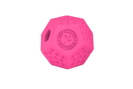 Kiwi Dodecaball Mini
