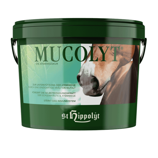 St. Hippolyt Mucolyt Atemwegskur