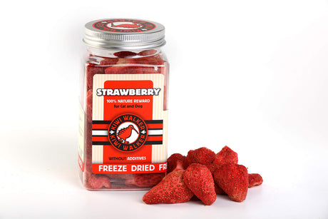 Kiwi Walker Freeze-dried Strawberry