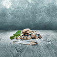 Barfer's Wellfood Choice Hering im Ganzen