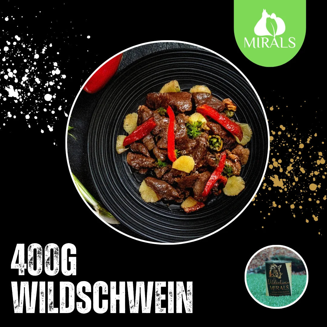 MIRALS Sanglier juteux aux champignons et chicorée, salade poivrons-ananas