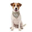 Coolpets Cooling Bandana