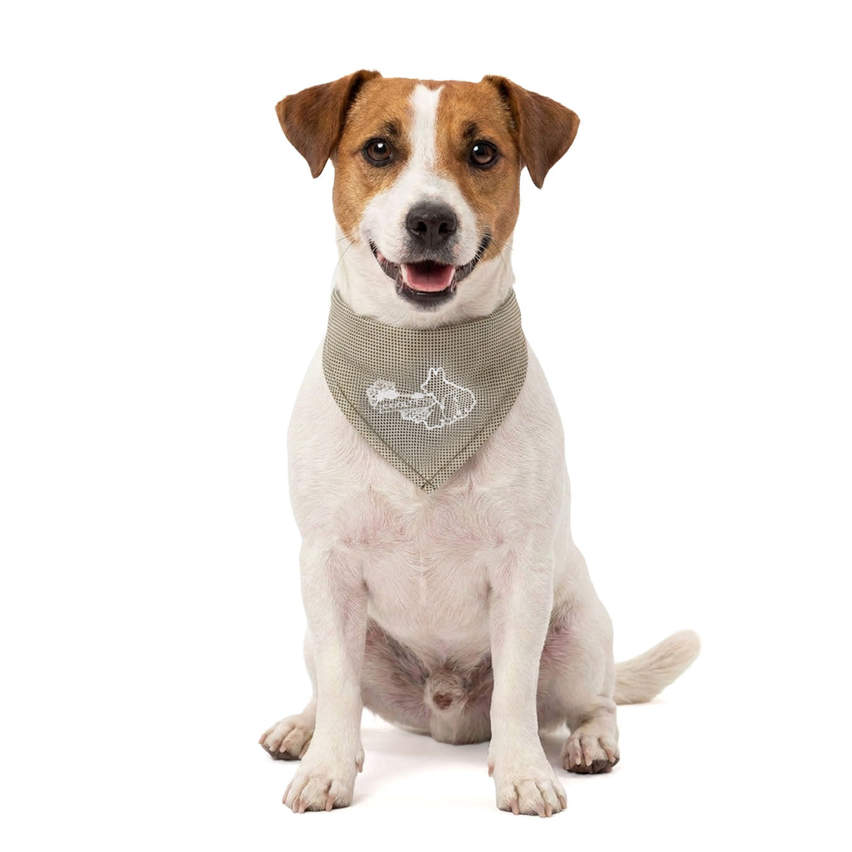 Coolpets Cooling Bandana