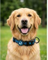 Kiwi Walker Dog Collar