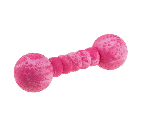 Wolters Dog Fun Gym