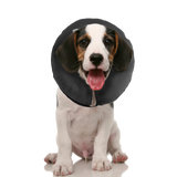 Zenpet ProCollar