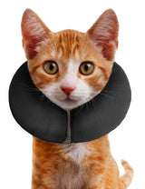 Zenpet ProCollar