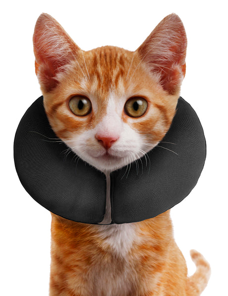 Zenpet ProCollar