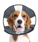 Zenpet Procone