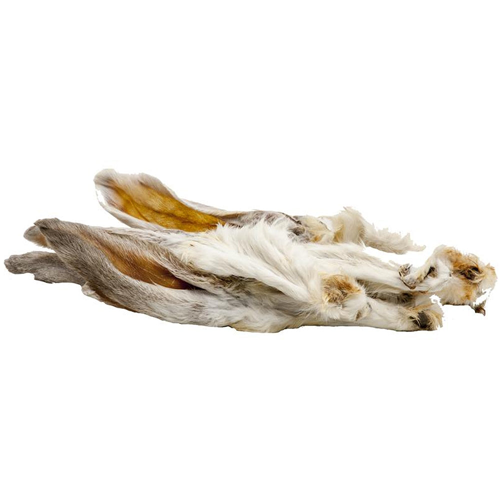 Ecostar : Oreilles de lapin avec poils