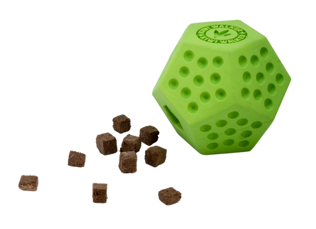 Kiwi Dodecaball Mini