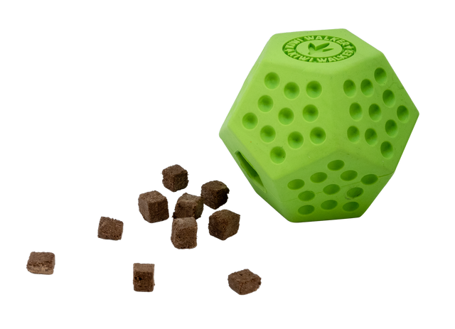 Kiwi Dodecaball Mini
