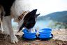 Kiwi Walker Travel Double Bowl