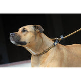 Kiwi Walker Rope Leash 2in1