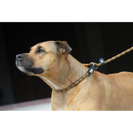 Kiwi Walker Rope Leash 2in1