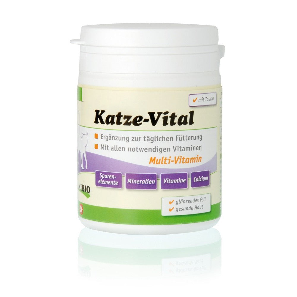 Anibio Katze-Vital