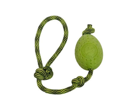 Kiwi Walker Egg