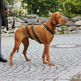KOCH-HEIMTIERWELT Premium Panic Harness