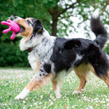 Kiwi Walker Let's Play Octopus Maxi